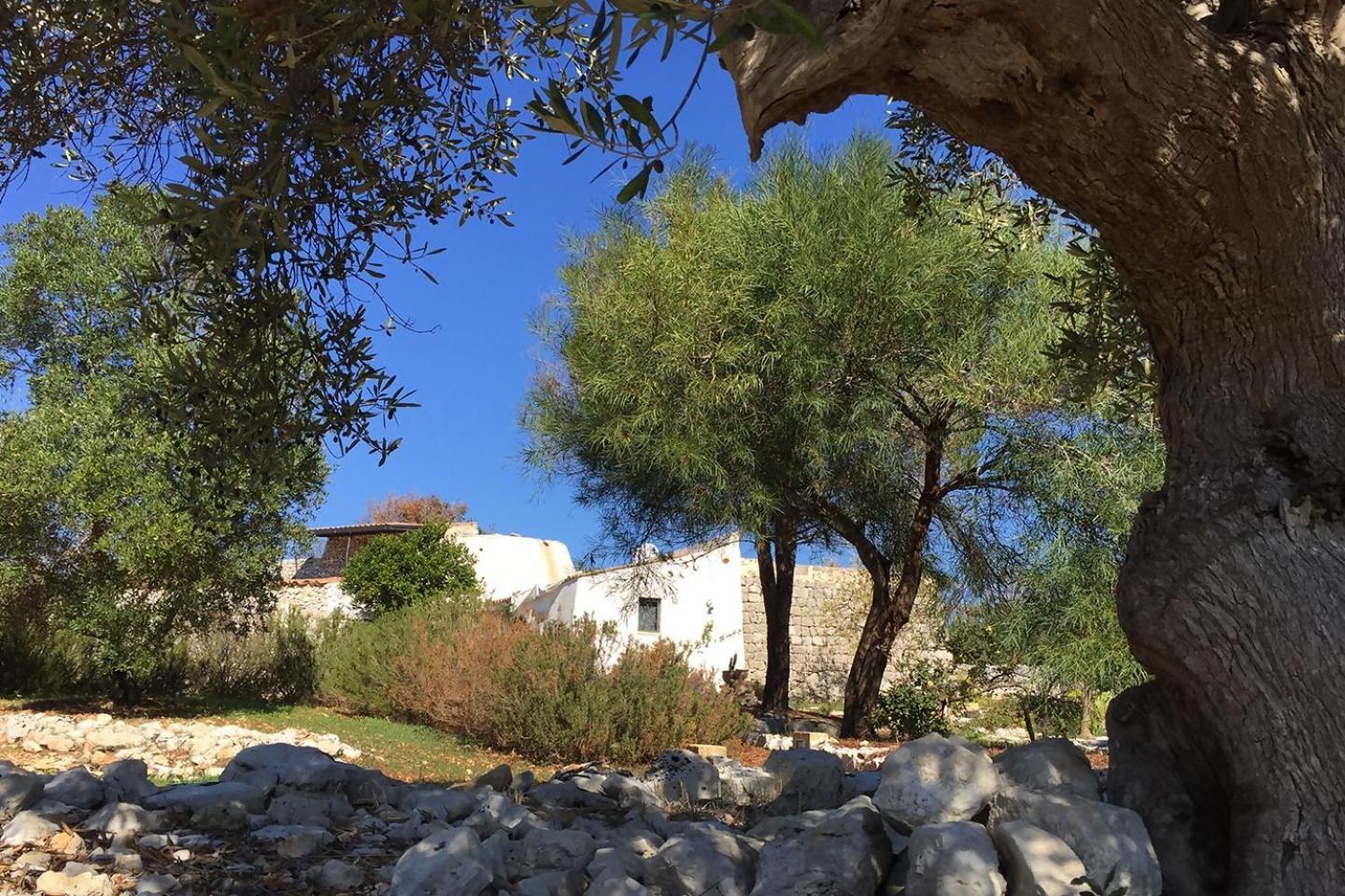 Feudo Pajara Bracchio 2 By Salento Prime Villa Salve Exterior photo